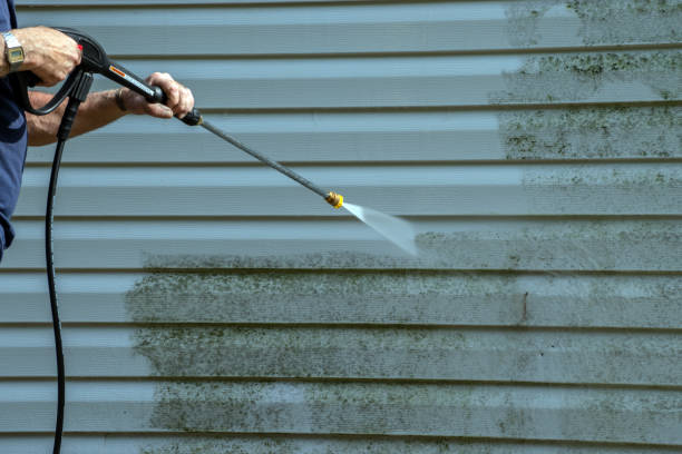 Best Pressure Washing Driveway  in India Hook, SC